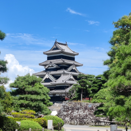 From Shogun to Shinkansen
