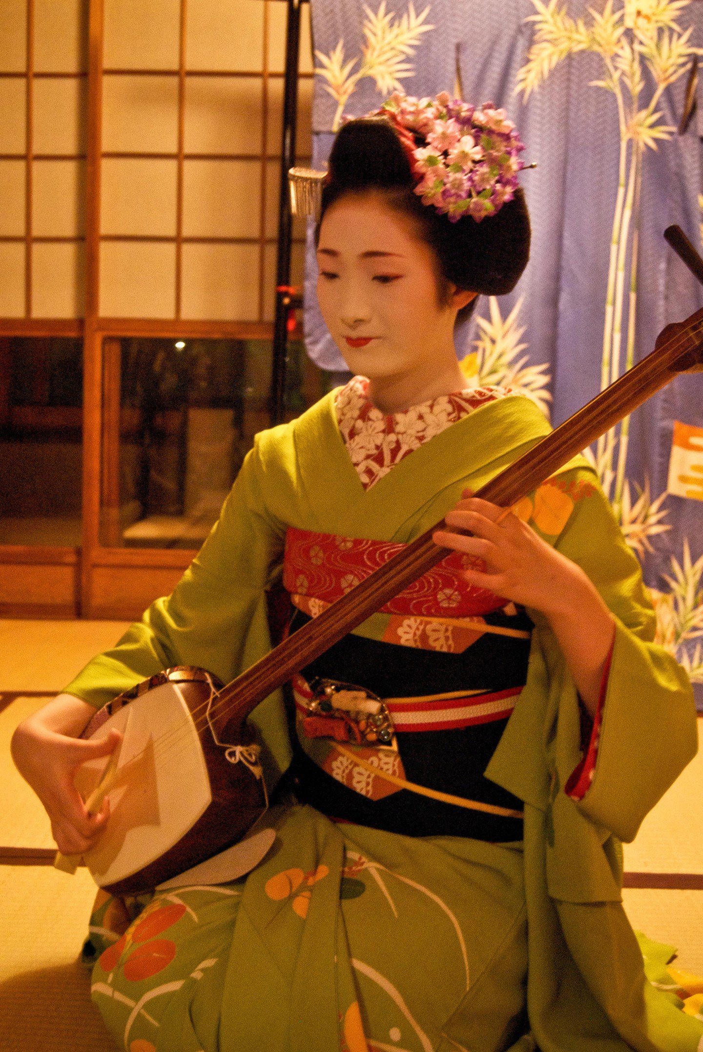 geisha girl documentary