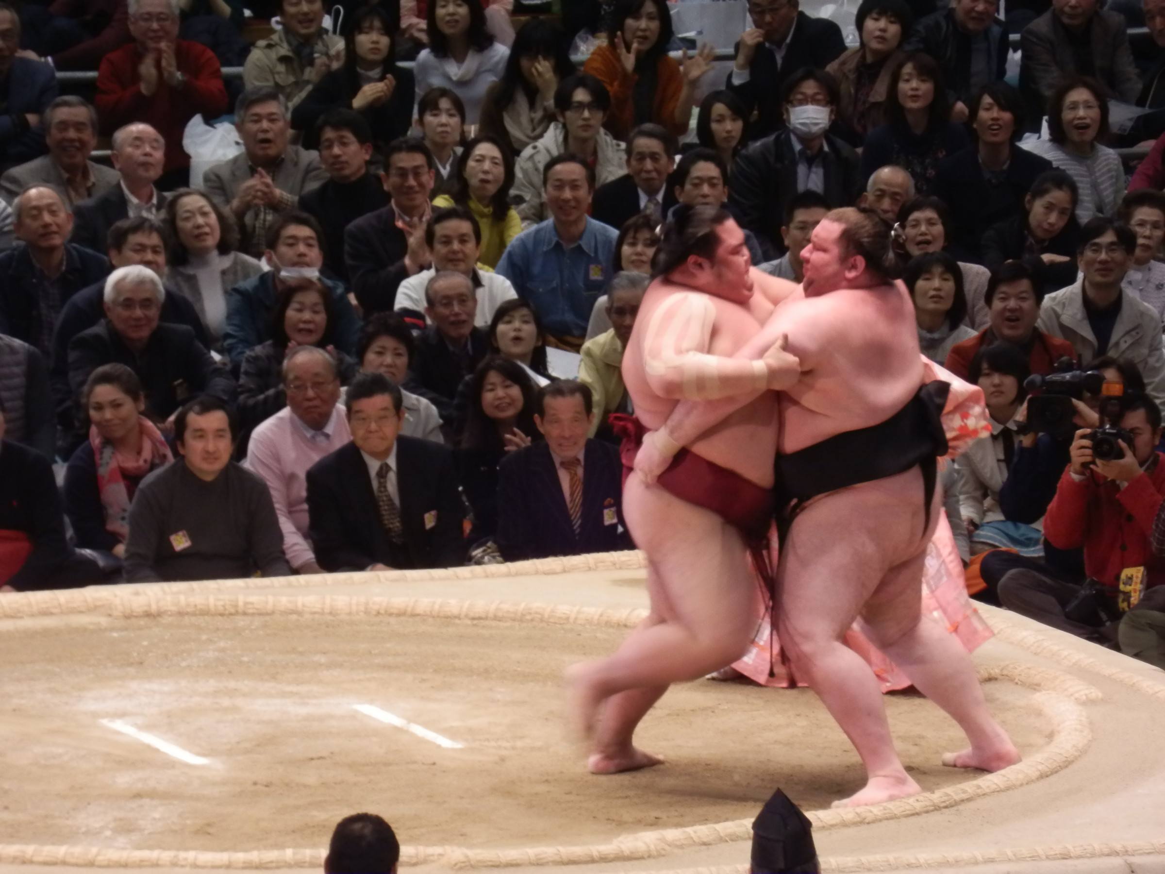 sumo wrestling gear