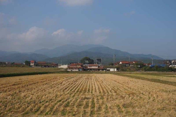 Appreciating the countryside in rural Yamaguchi | InsideJapan Tours