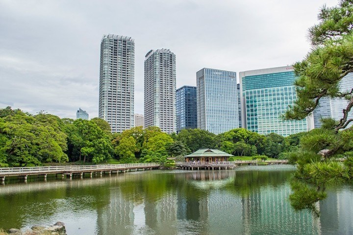 Group tour photo blog: Tokaido Trail | InsideJapan Blog