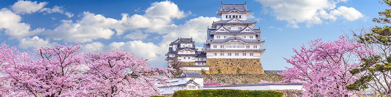 When Is the Best Time to Visit Japan?