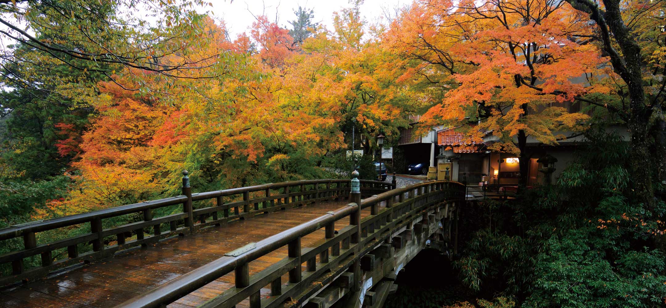 inside japan tours tripadvisor