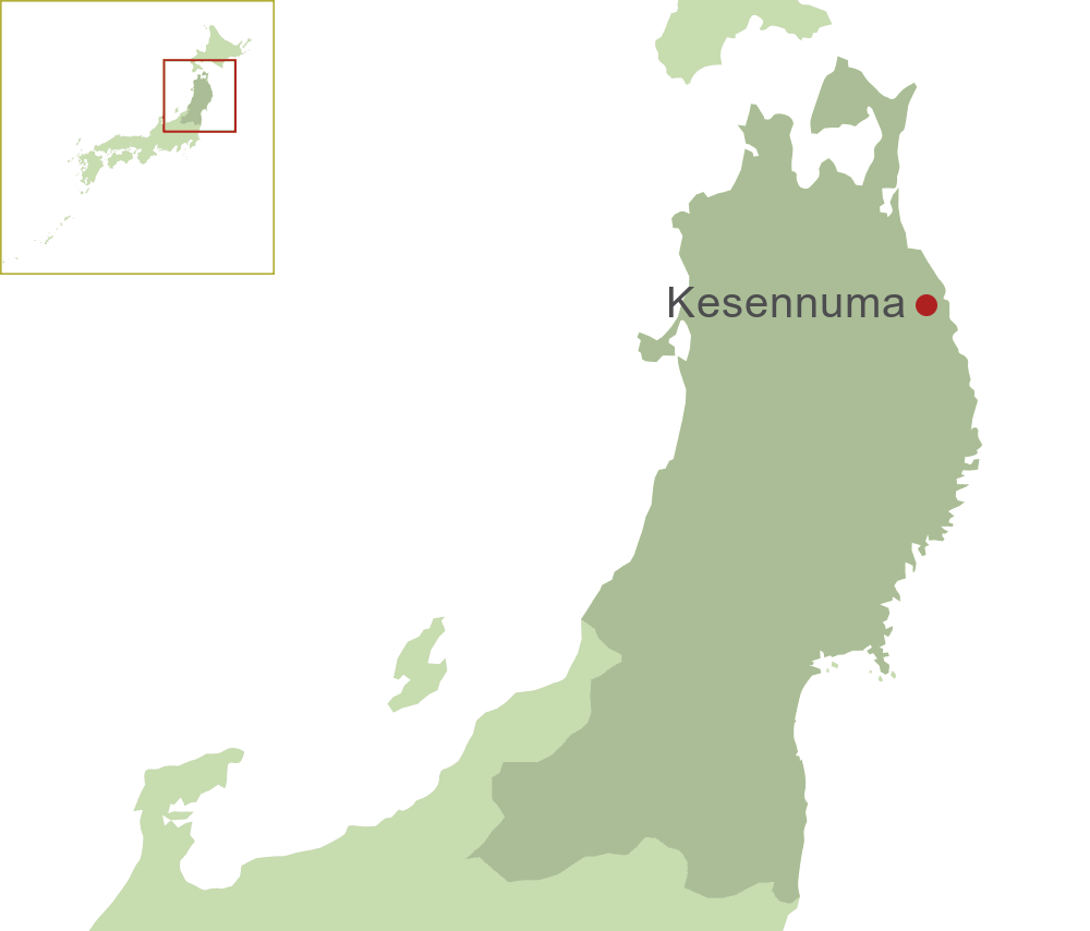 Kesennuma Map