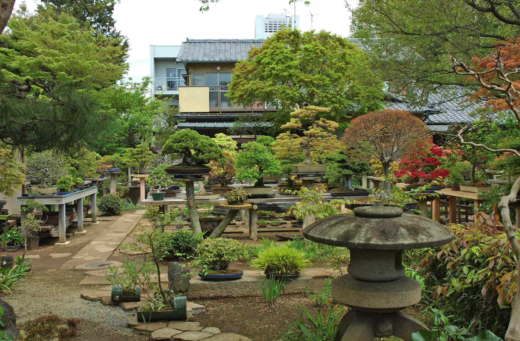 Gardens | Inside Japan Tours