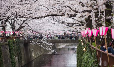 Tokyo Gallery