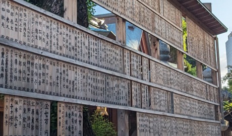 Guided Sightseeing in Fukuoka