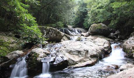 Canyoning in the Nametoko Gorge  