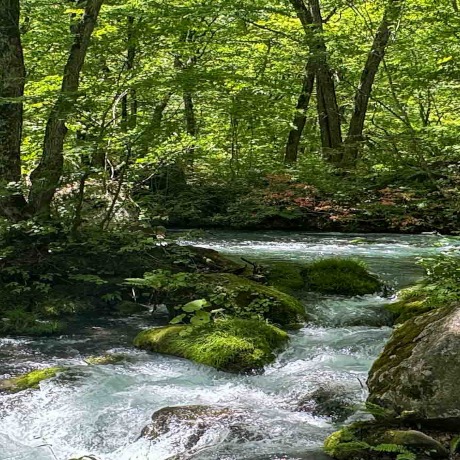 Japan's Undiscovered North